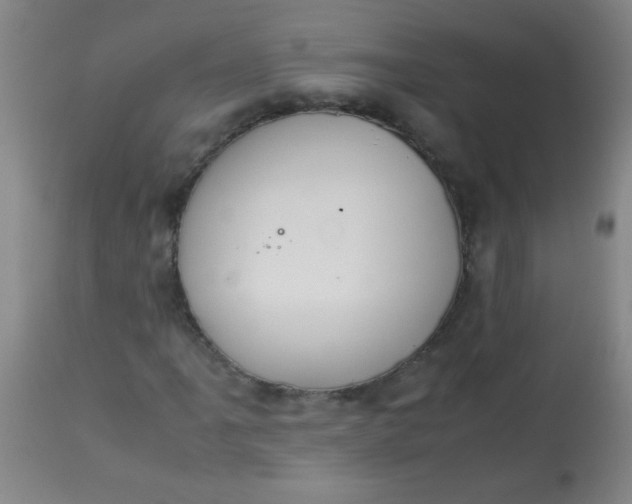 X0000113621061200910091526