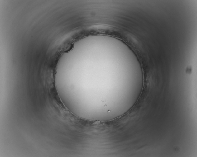 X0000113621062200910091526