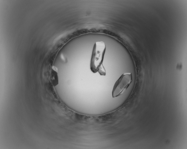 X0000113621063200910091526