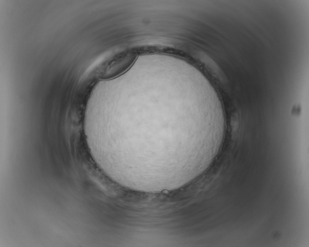 X0000113621064200910091526