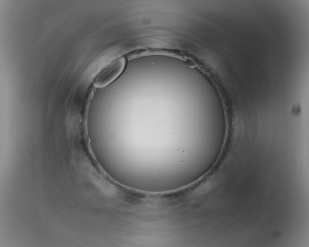 X0000113621065200910091526