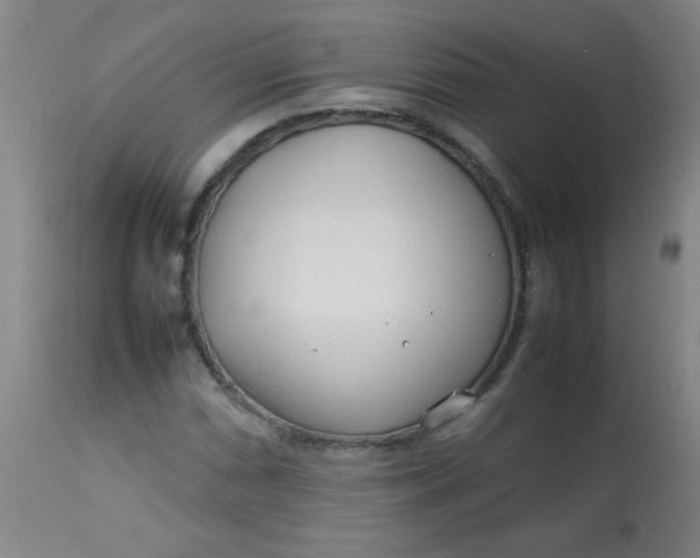 X0000113621066200910091526