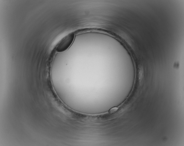 X0000113621069200910091526