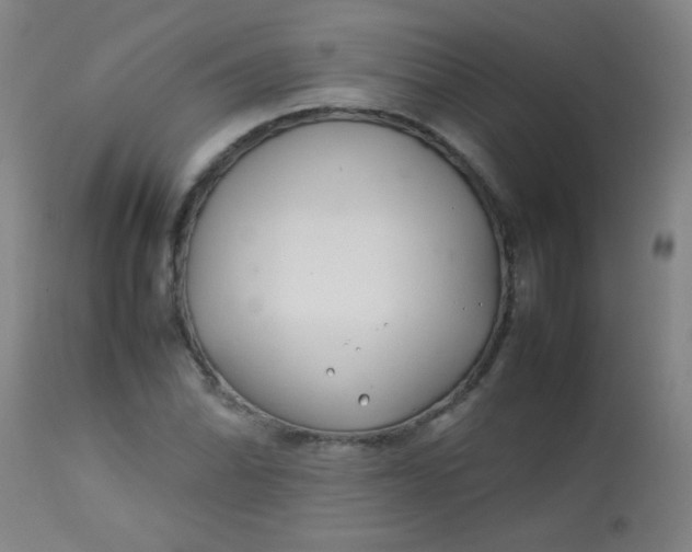 X0000113621070200910091526