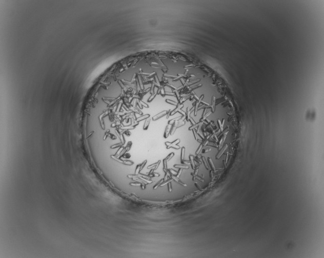 X0000113621071200910091526