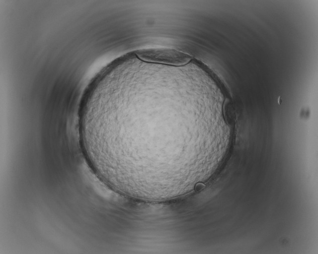 X0000113621072200910091526