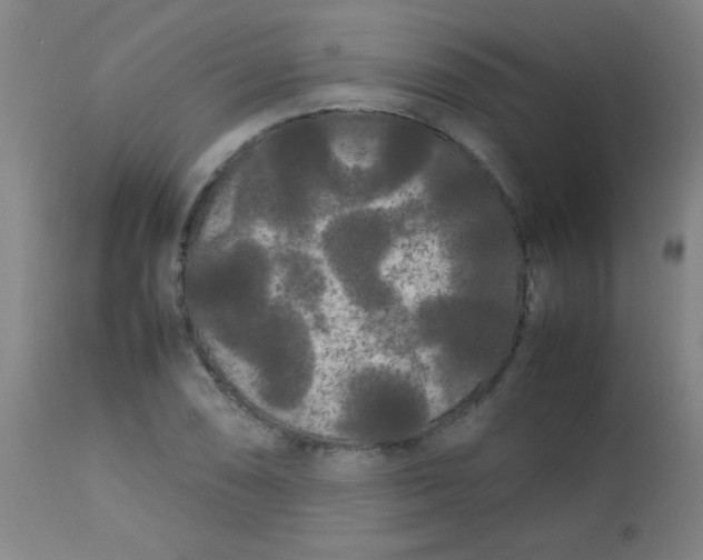 X0000113621074200910091526