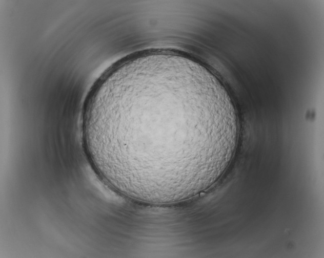 X0000113621076200910091526