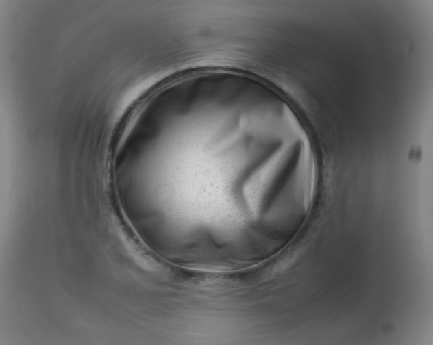 X0000113621077200910091526