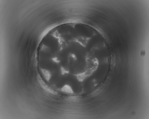 X0000113621078200910091526