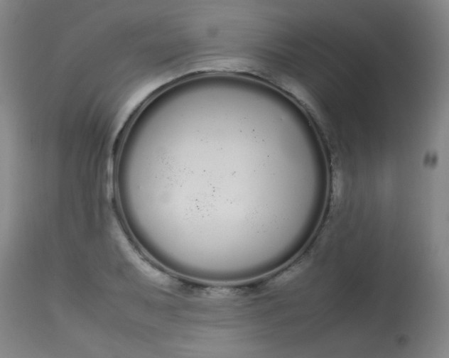 X0000113621079200910091526