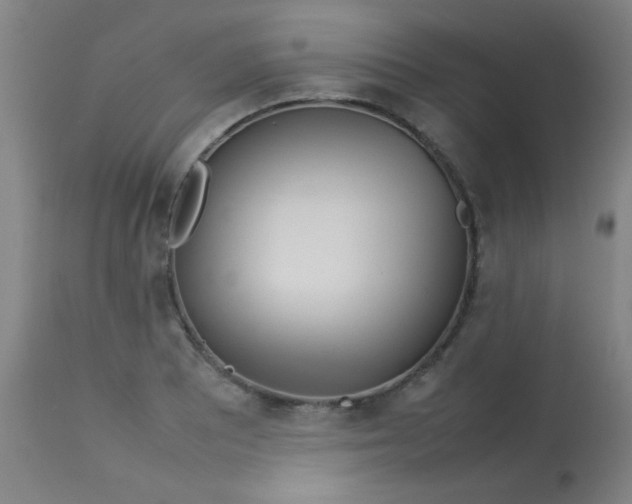 X0000113621081200910091525