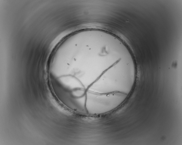 X0000113621082200910091525