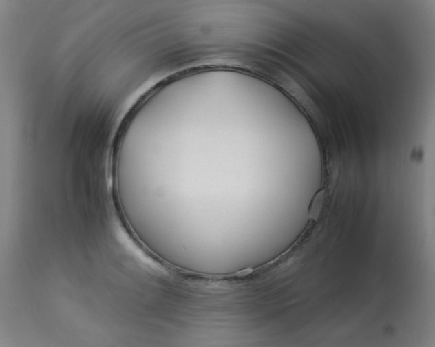 X0000113621084200910091525