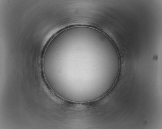 X0000113621085200910091525