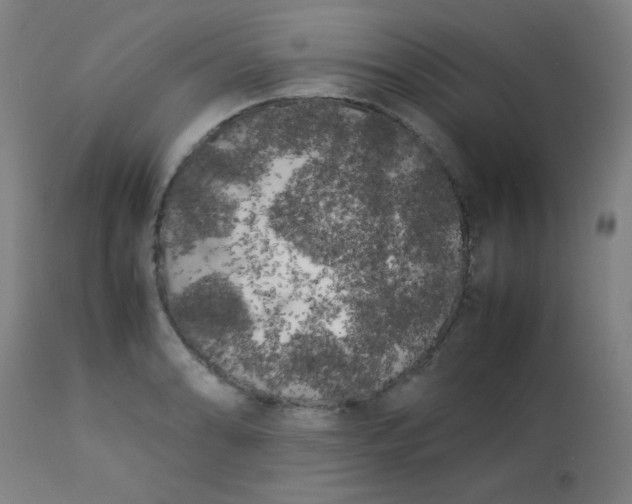 X0000113621086200910091525