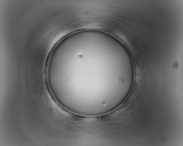 X0000113621087200910091525