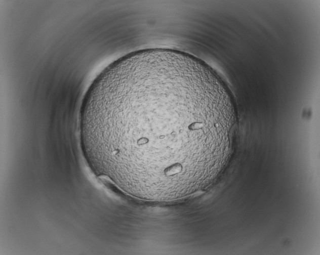 X0000113621088200910091525