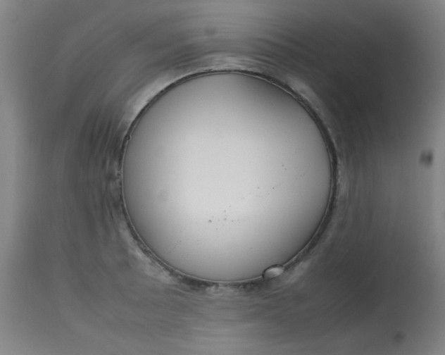 X0000113621089200910091525