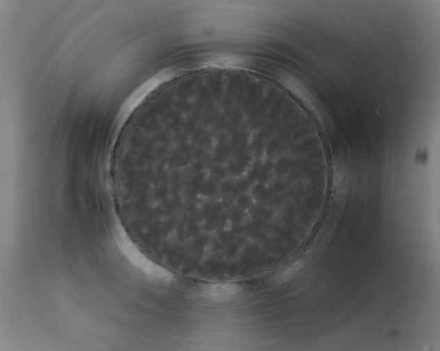 X0000113621090200910091525