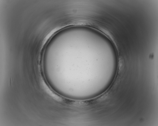 X0000113621091200910091525