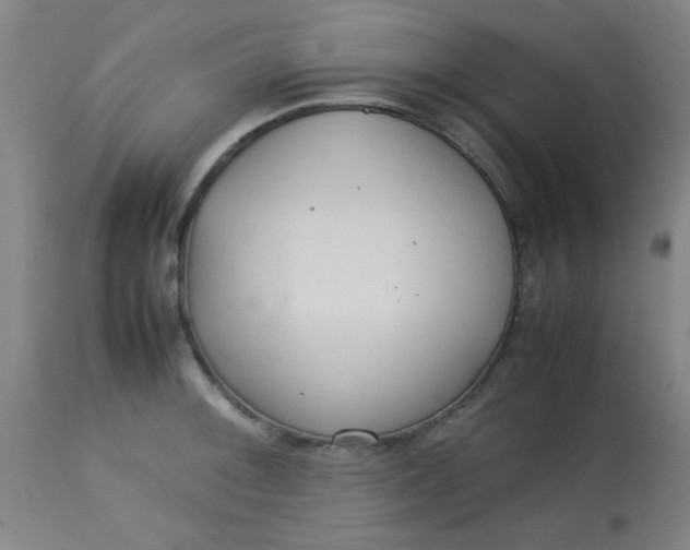 X0000113621092200910091525