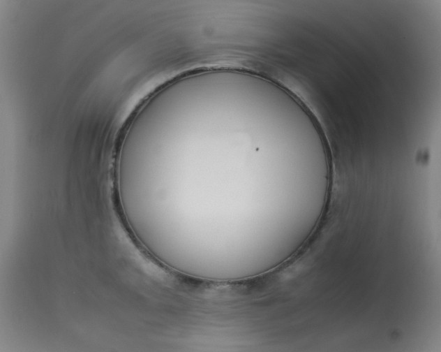 X0000113621093200910091525