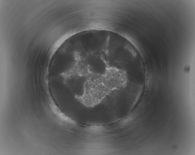 X0000113621094200910091525