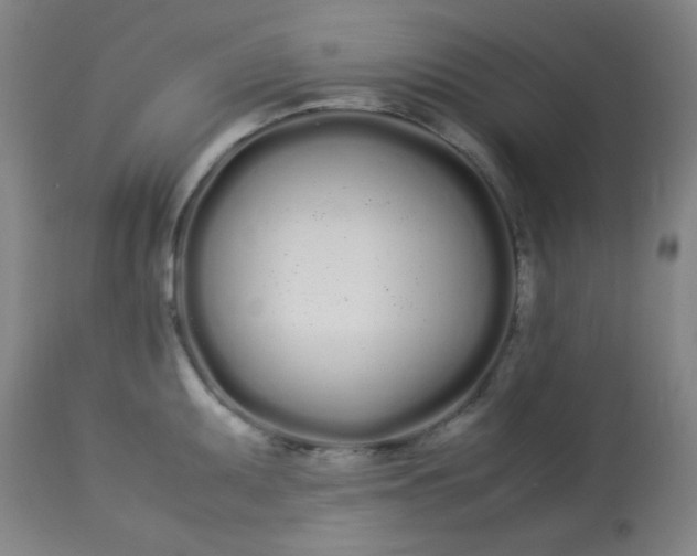 X0000113621095200910091525