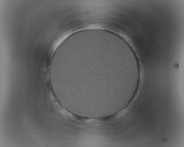 X0000113621097200910091525