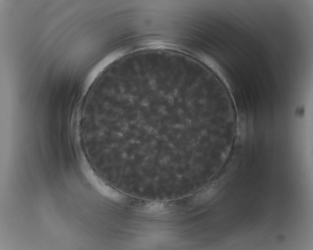 X0000113621098200910091525