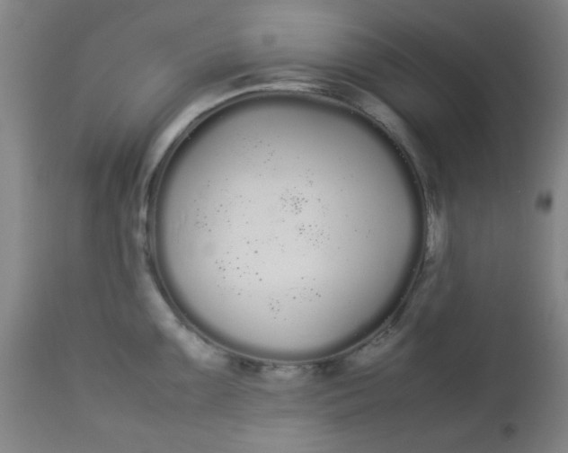 X0000113621099200910091525