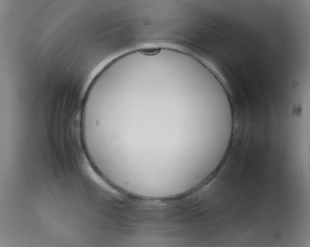 X0000113621100200910091525