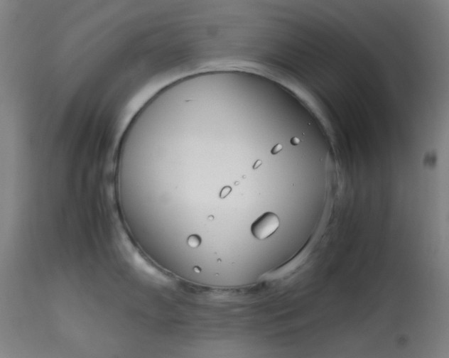 X0000113621102200910091525