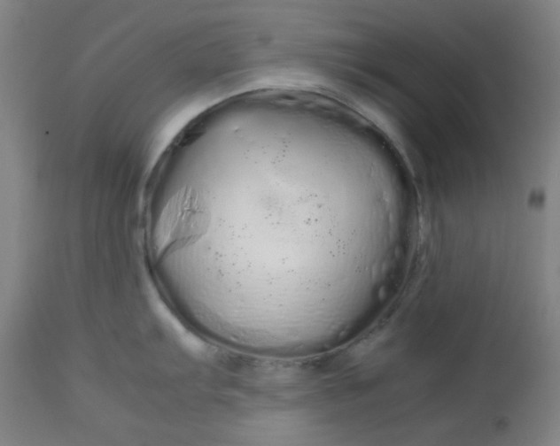 X0000113621103200910091525