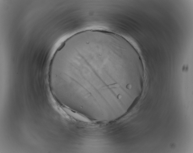 X0000113621104200910091525