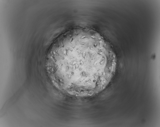 X0000113621105200910091524