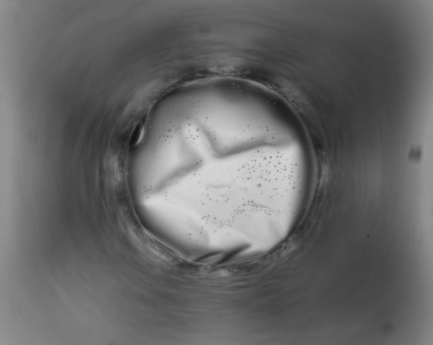 X0000113621106200910091524