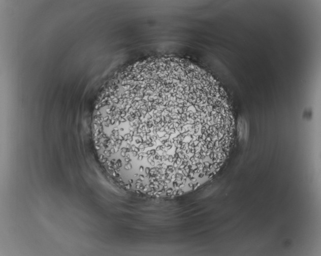 X0000113621107200910091524