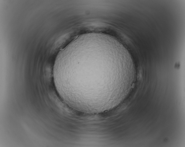 X0000113621108200910091524