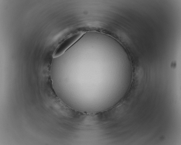 X0000113621110200910091524