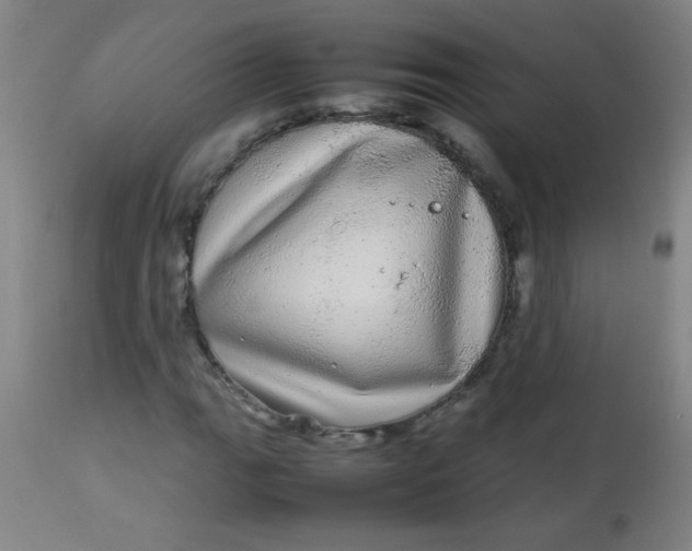 X0000113621111200910091524