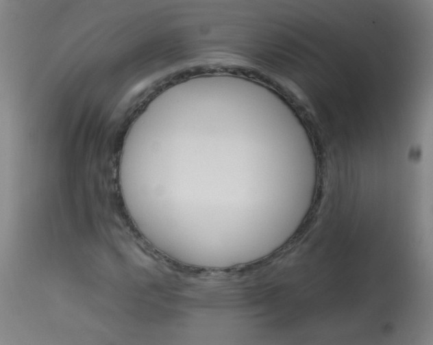 X0000113621112200910091524