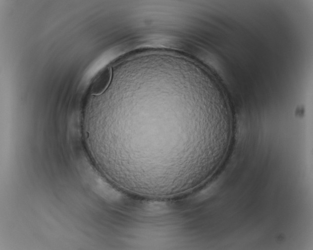 X0000113621114200910091524