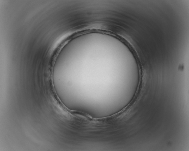 X0000113621115200910091524