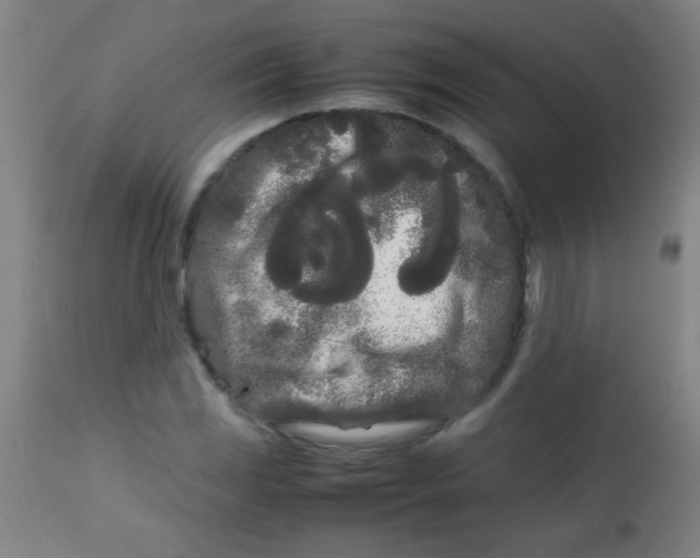 X0000113621117200910091524