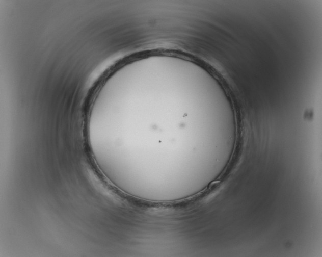 X0000113621118200910091524