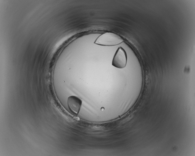 X0000113621119200910091524