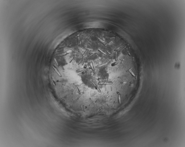 X0000113621121200910091524