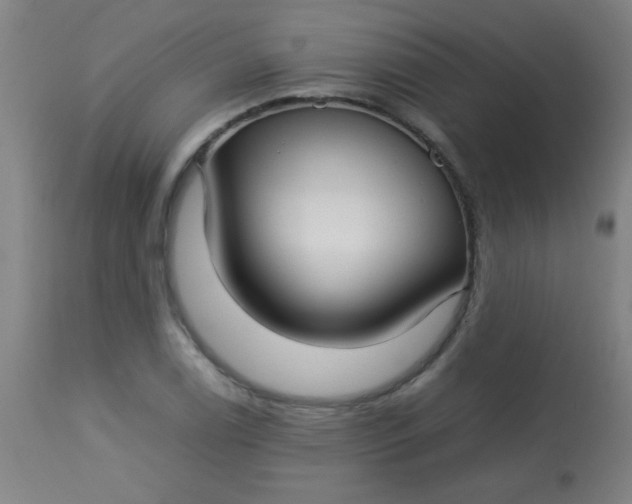 X0000113621122200910091524